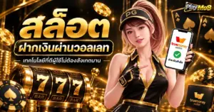 สล็อต ฝากเงินผ่านวอลเลท เทคโนโลยีที่ดีผู้ใช้ไม่ต้องสังเกตนาน